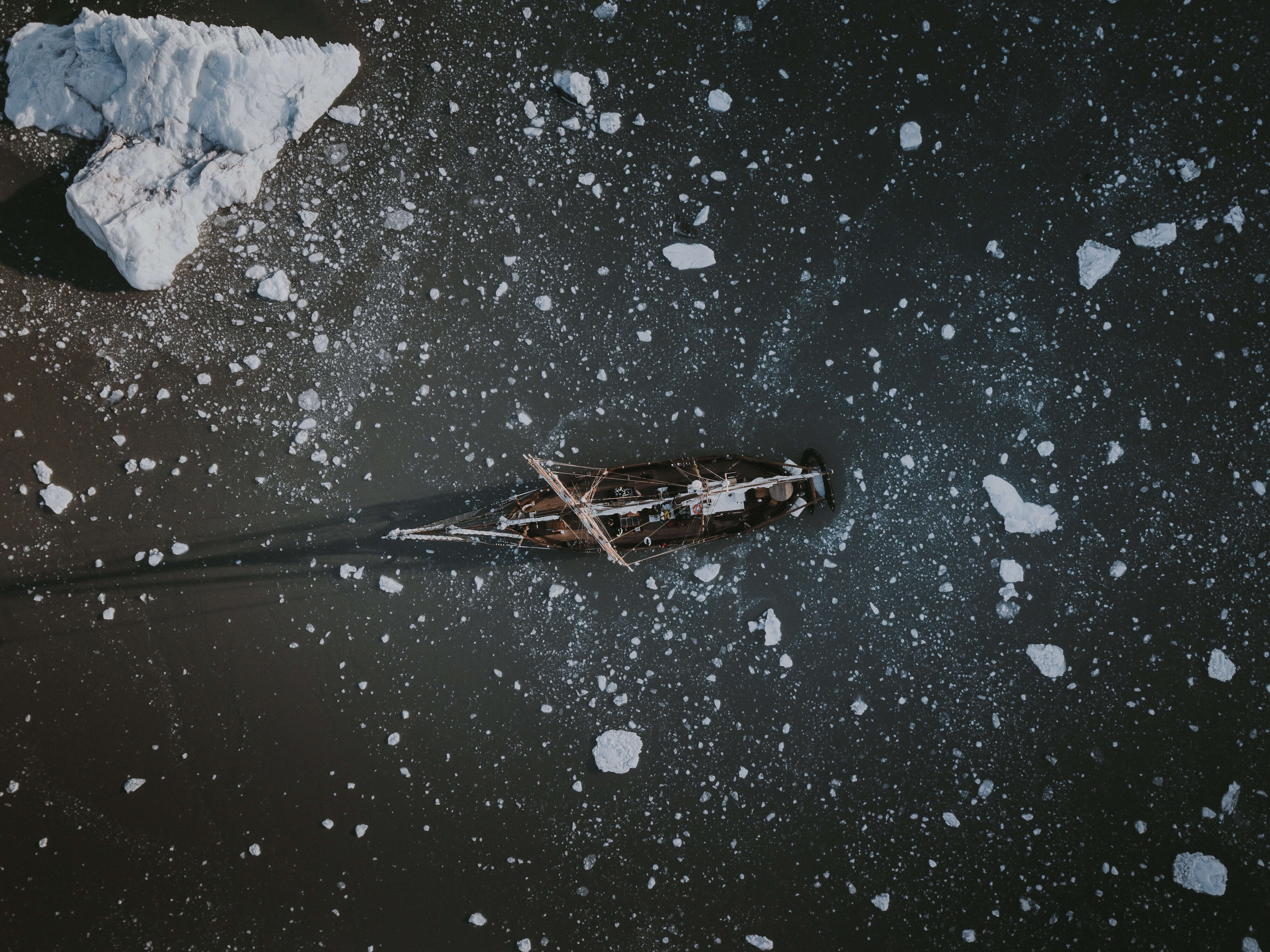 Photo by Annie Spratt on Unsplash