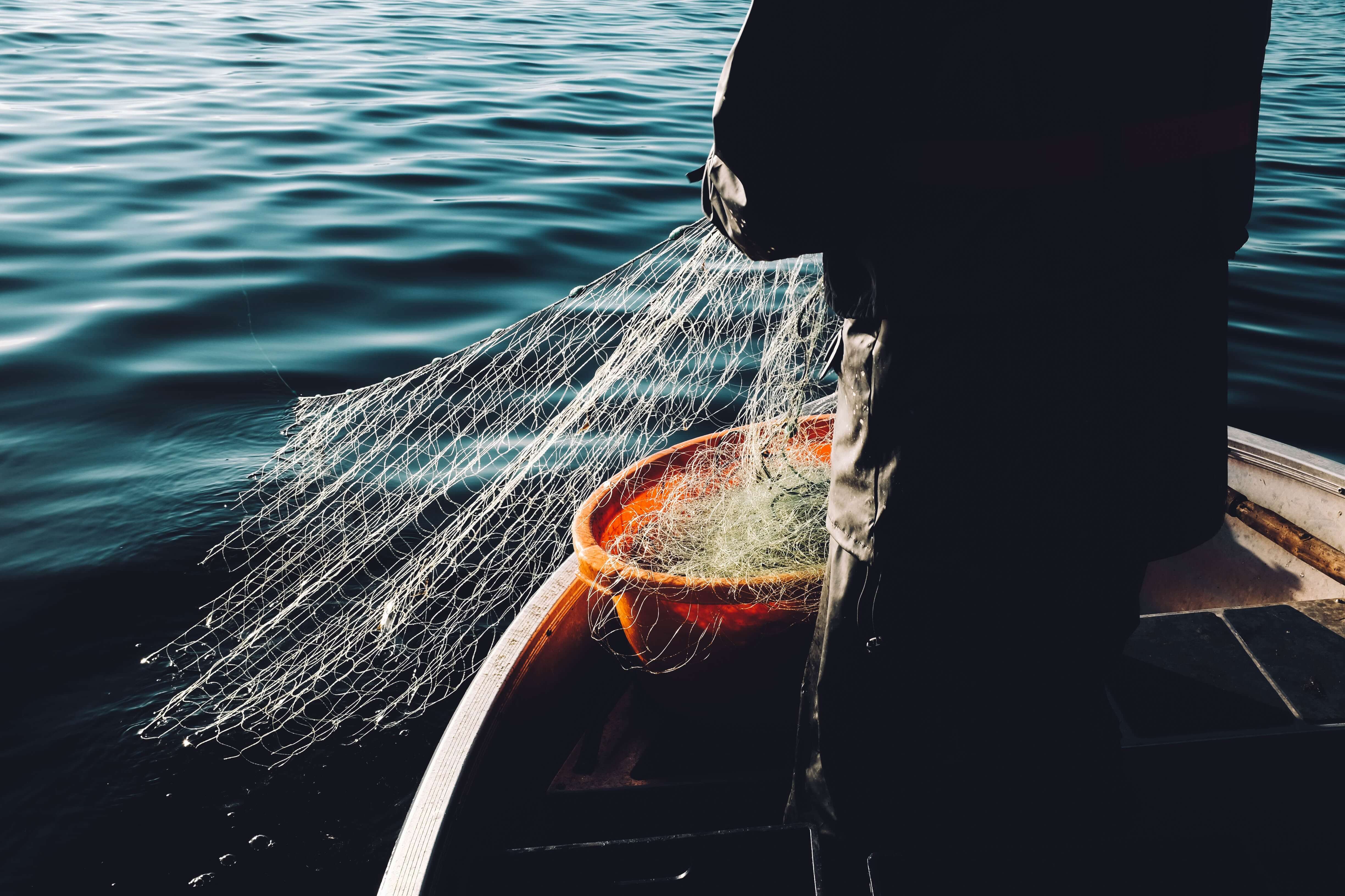Photo by Fredrik Öhlander on Unsplash