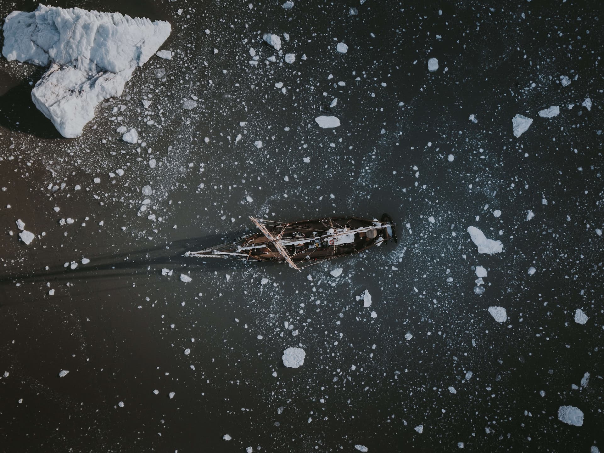 Photo by Annie Spratt on Unsplash
